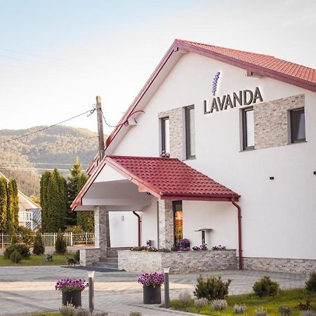 Pensiunea Lavanda, Piatra-Neamt Piatra Neamţ Dış mekan fotoğraf