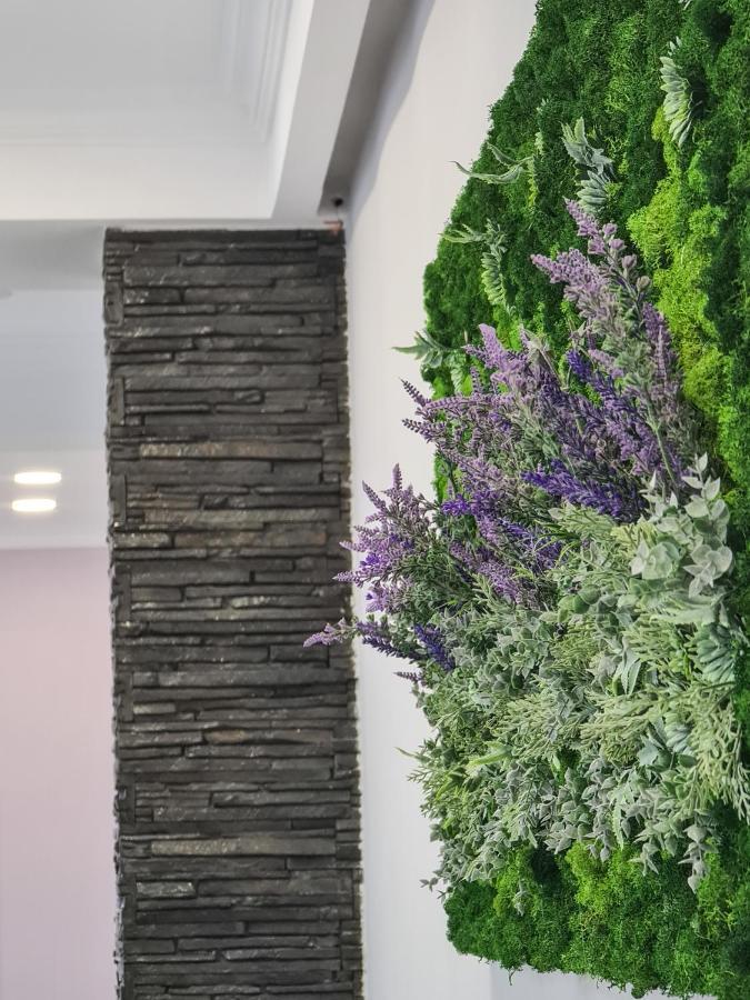 Pensiunea Lavanda, Piatra-Neamt Piatra Neamţ Dış mekan fotoğraf