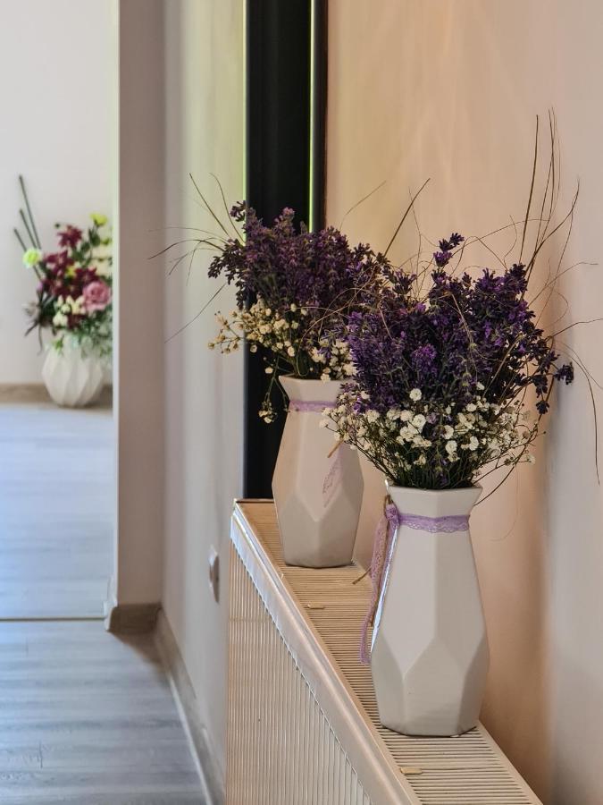 Pensiunea Lavanda, Piatra-Neamt Piatra Neamţ Dış mekan fotoğraf