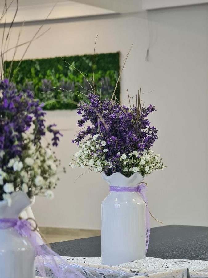 Pensiunea Lavanda, Piatra-Neamt Piatra Neamţ Dış mekan fotoğraf