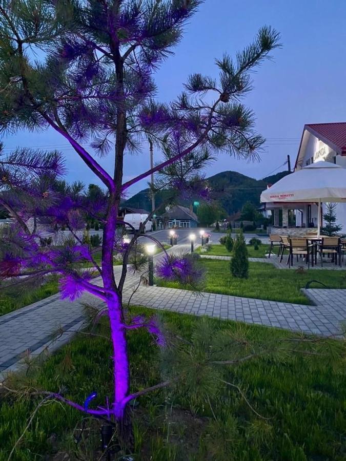 Pensiunea Lavanda, Piatra-Neamt Piatra Neamţ Dış mekan fotoğraf